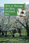 Blue-Orchard-Bee.jpg