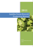 organic broccoli production manual
