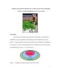 Cover of Integrating Sustainability Education into the University Pre-Service Elementary Teacher Curriculum through the Use of School Gardens