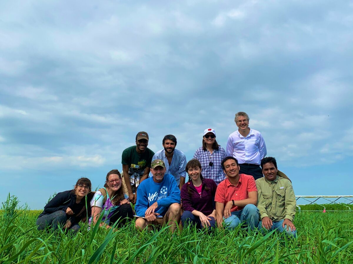 LNC16-383, Picasso, WI