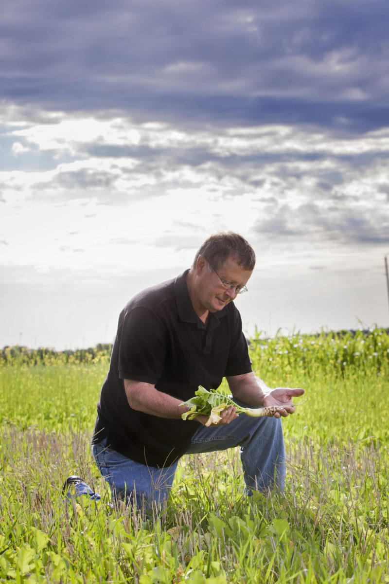 A man named Gary Lesoing kneeling in a field examining a harvested vegetable