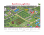 Sustainable Farm Poster with a cartoon farm with circles featuring a worm, crops, a fish, and a butterfly.
