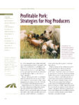 reading on profitable pork