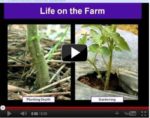 life on the farm webinar