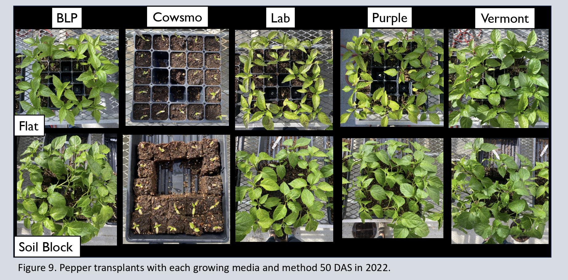 Soil Block Chart Rice Research Unearths Information about Soil Blocks - SARE North Central
