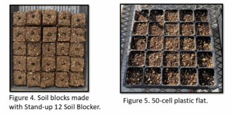 soil blocks