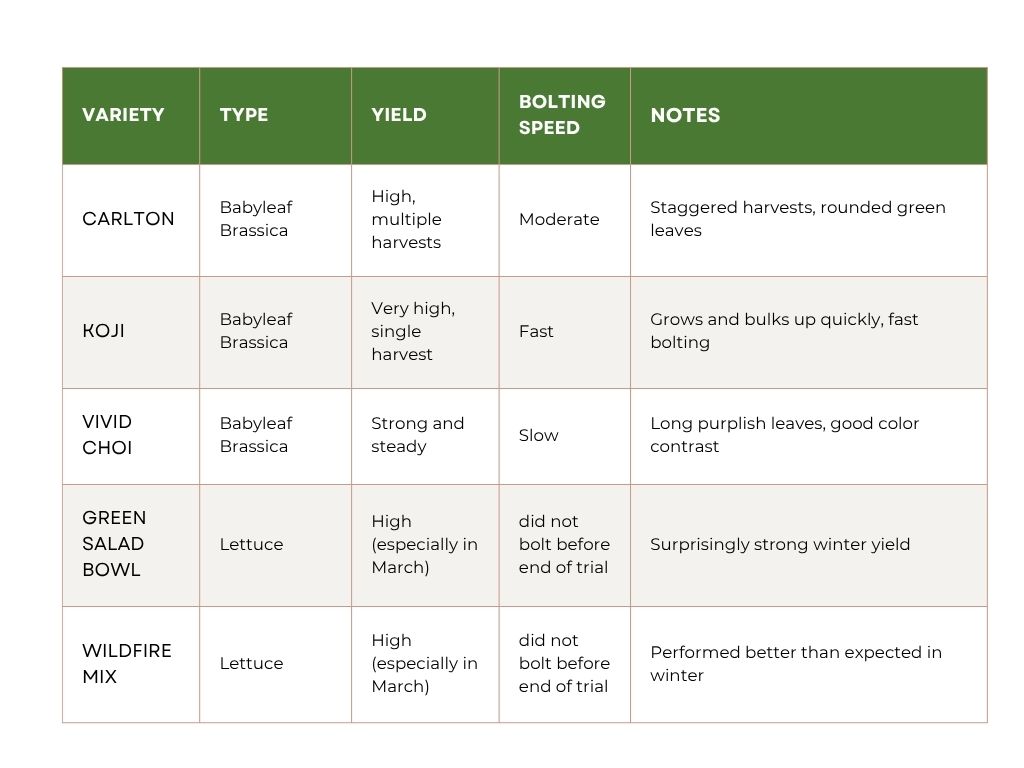 chart comparing aspects of lettuce varieties