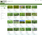 Screen shot of Northeast cover crop decision tool