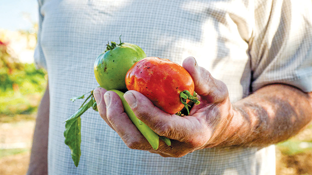 A hand holding various vegetables