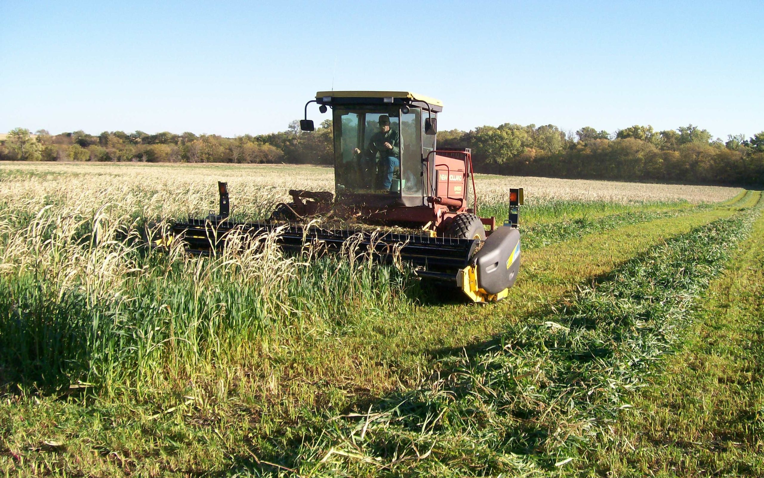 Tractor mowing hay