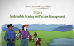 What is Sustainable Agriculture Animation Episode 6